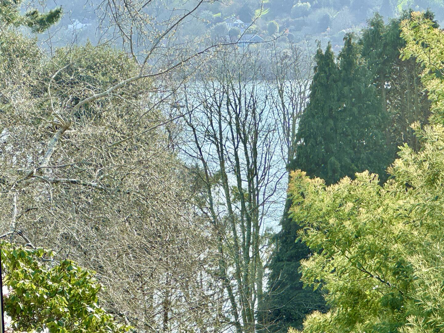 Feock, South Cornwall, photo 9
