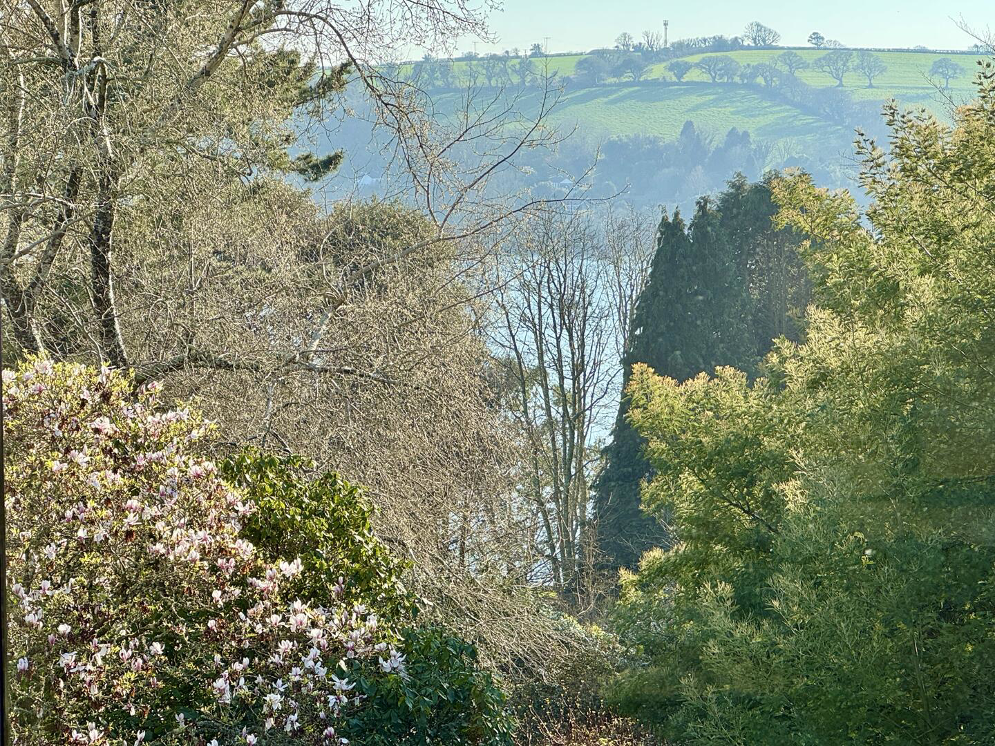 Feock, South Cornwall, photo 20