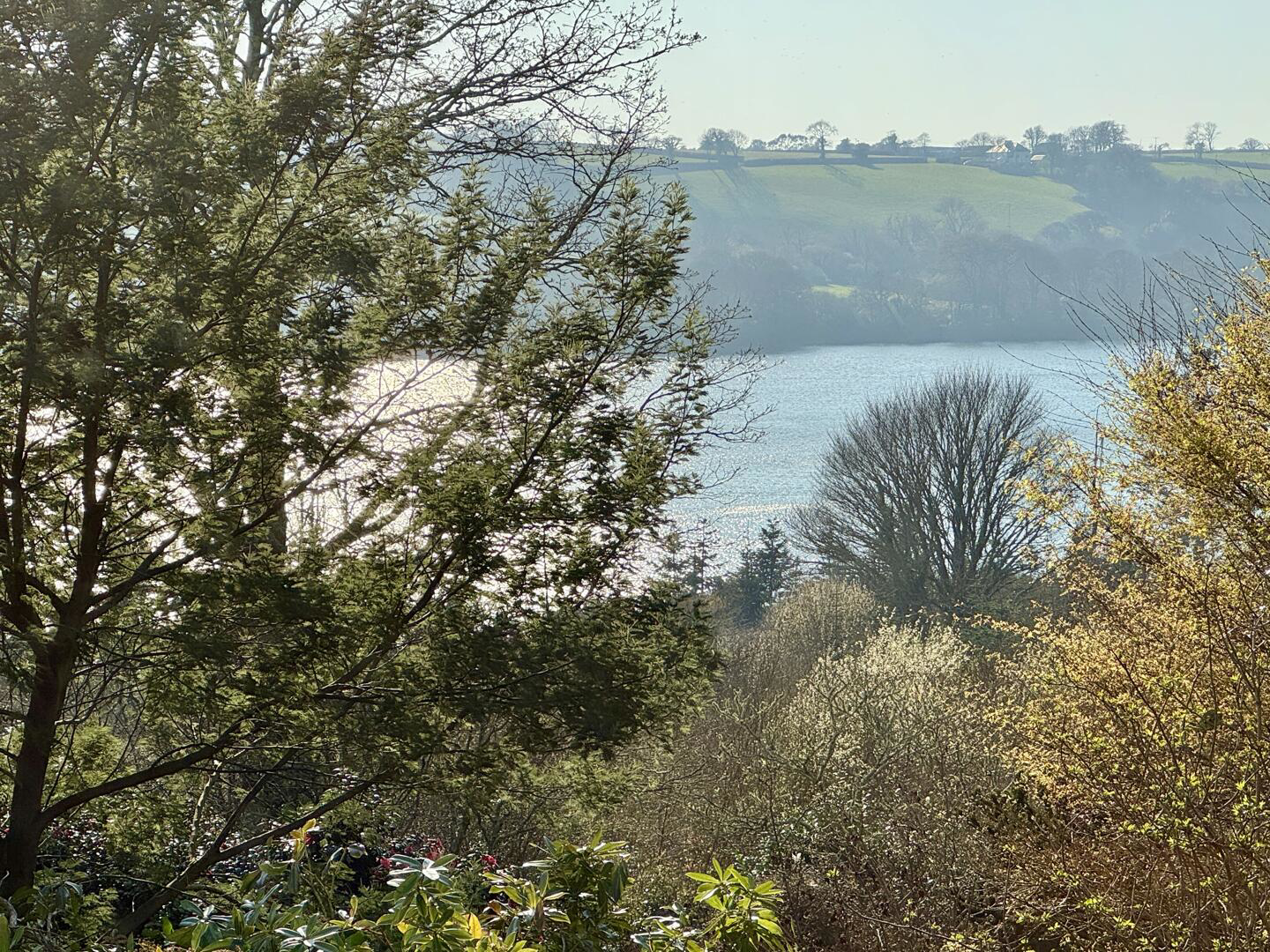 Feock, South Cornwall, photo 11
