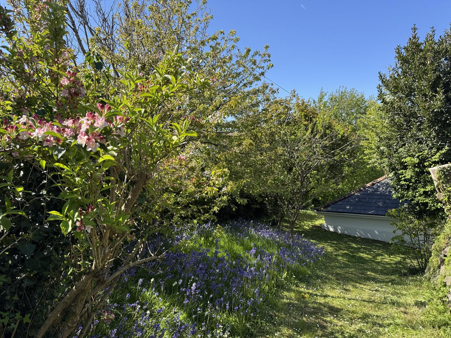 Blowinghouse Hill, Redruth, photo 33