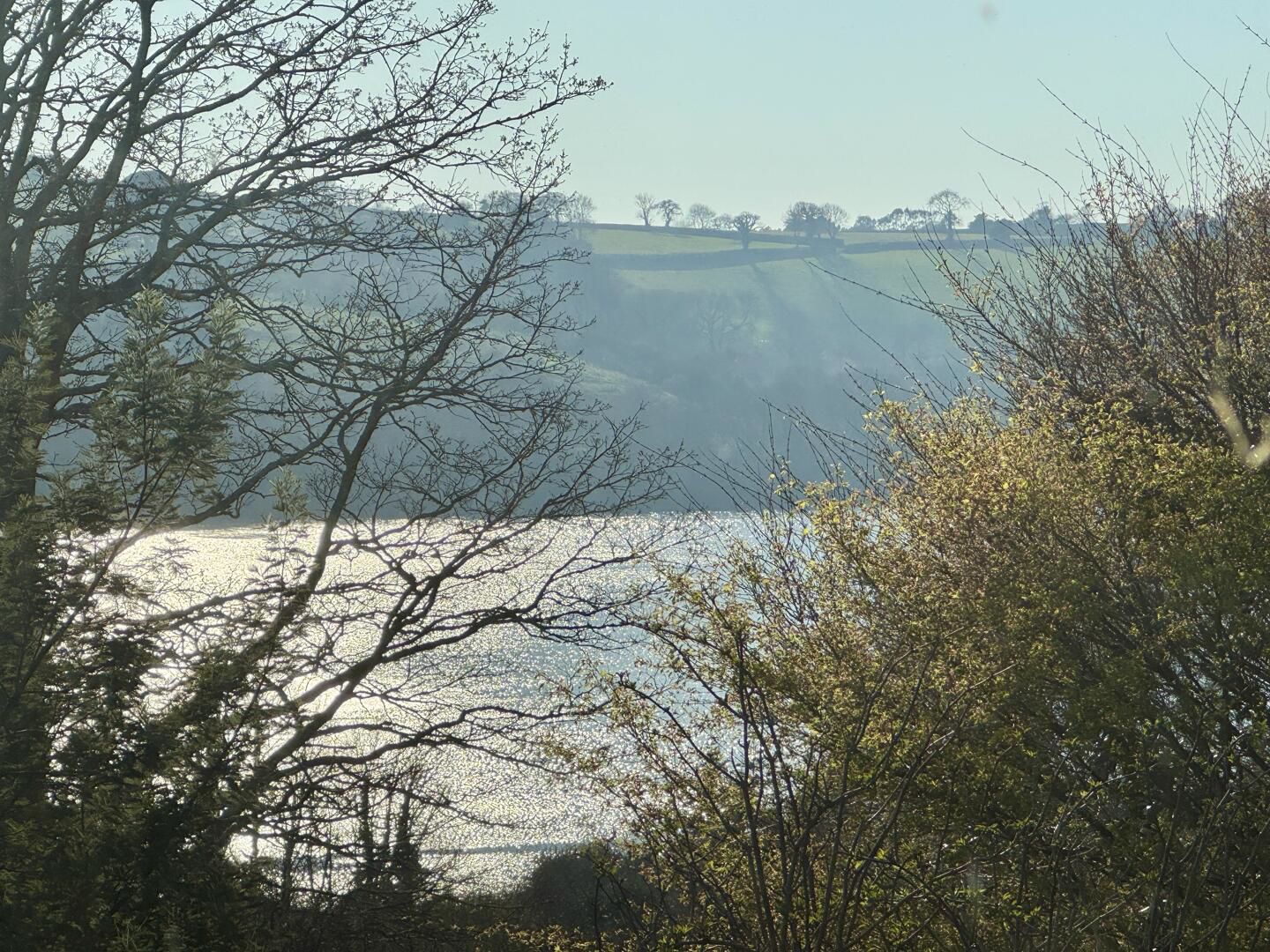 Feock, South Cornwall, photo 6