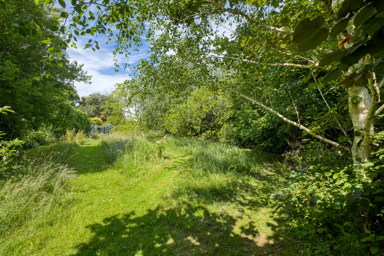 Media image 26