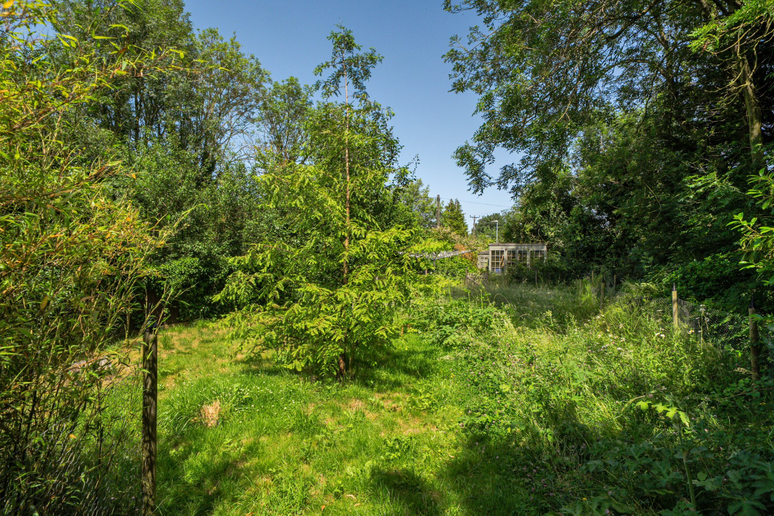 Edge of village location, Chilcompton between Wells and Bath, photo 27