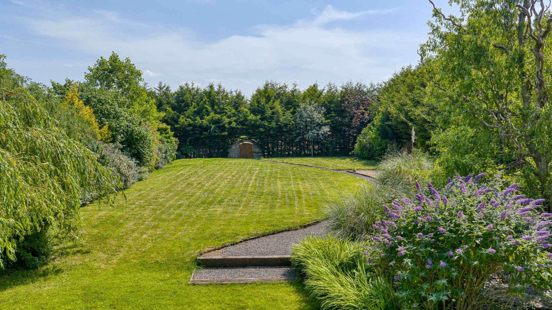 Media image 27