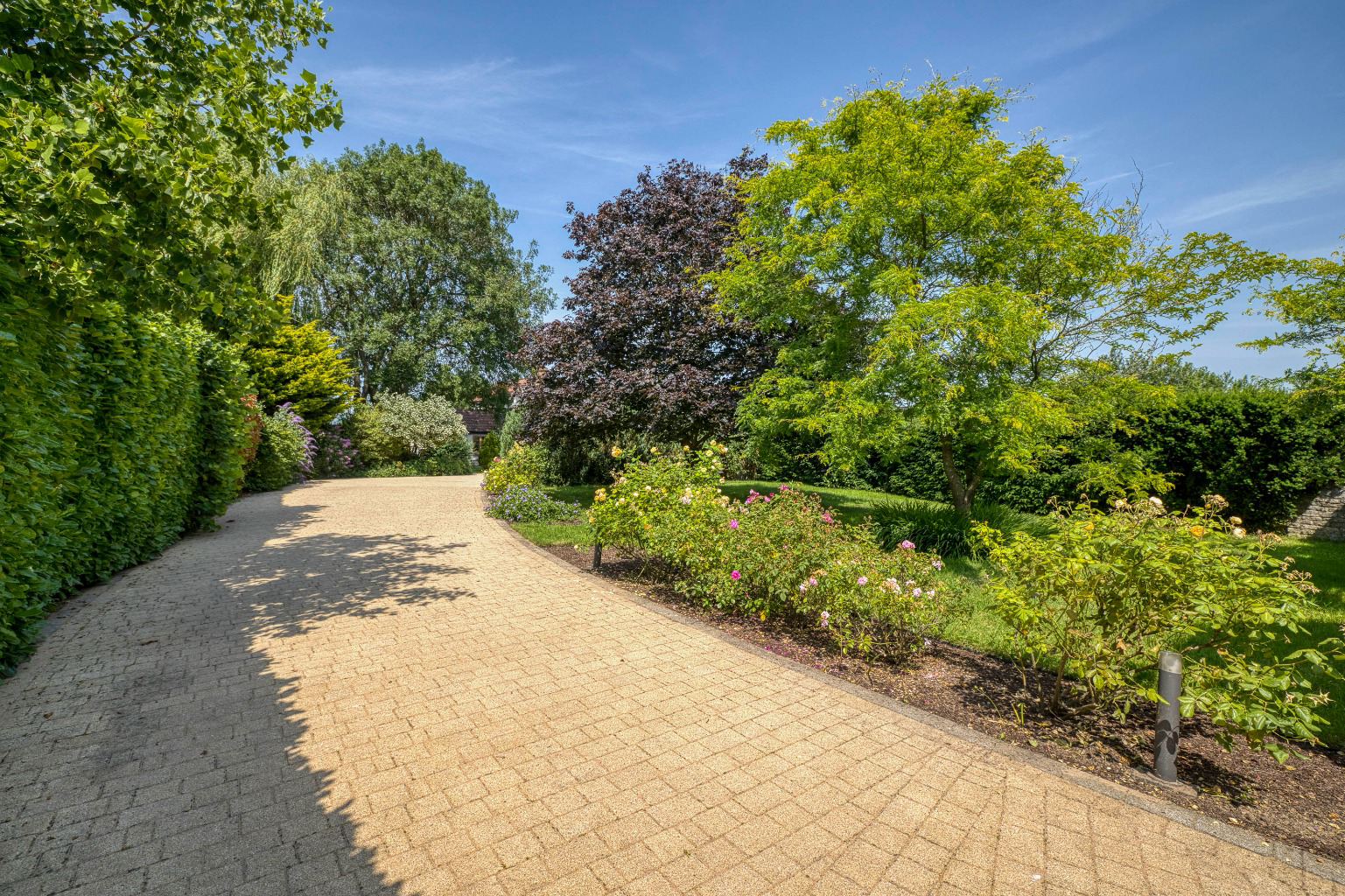 Media image 21