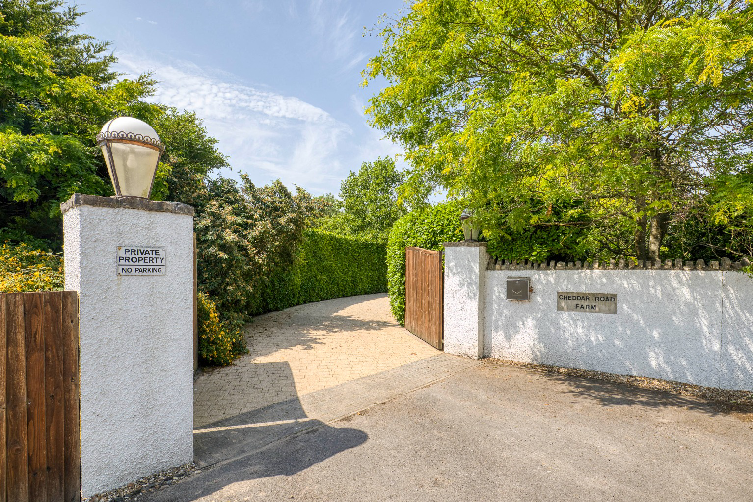 Media image 20