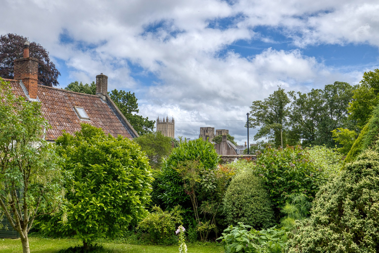 Central Wells, photo 28