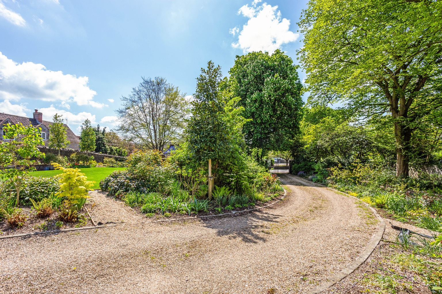 Media image 21
