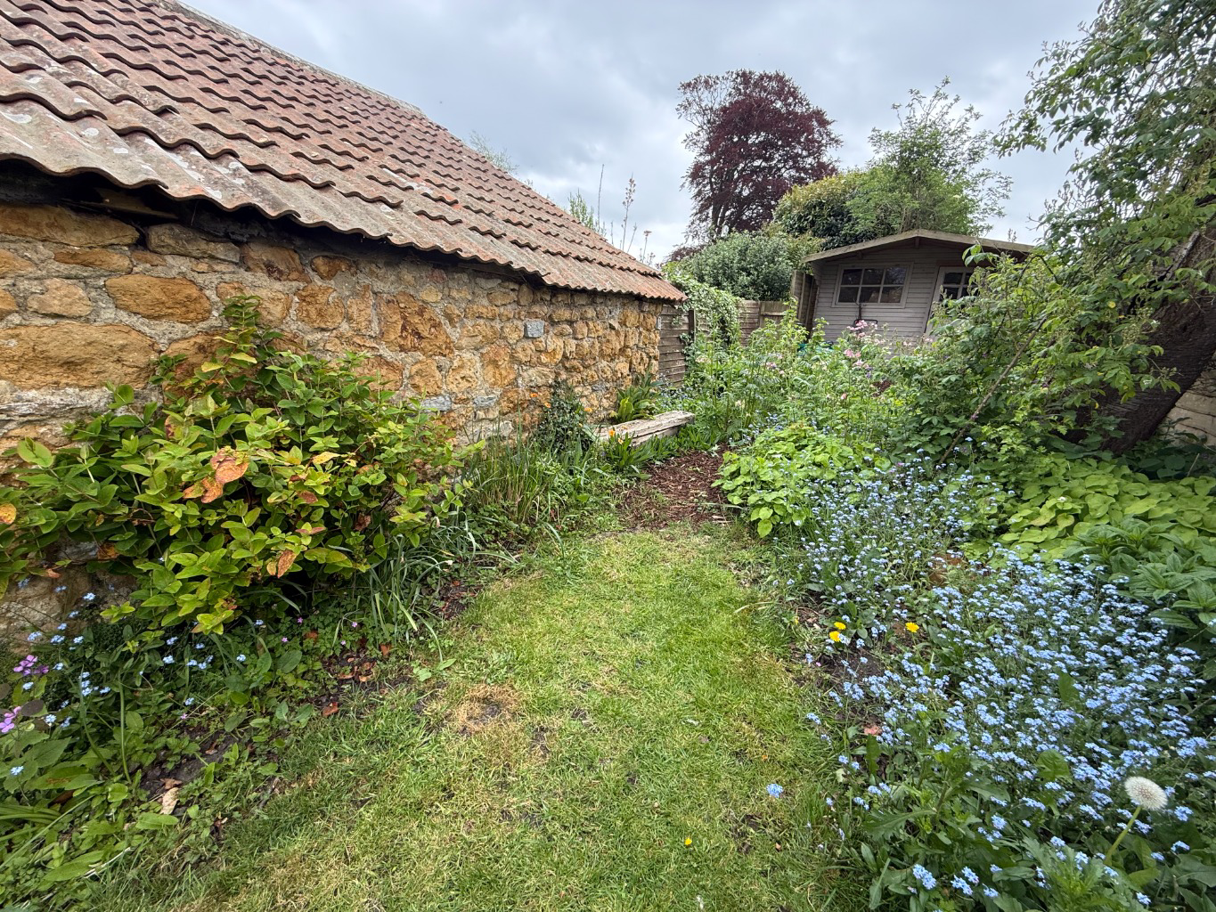 Photo 17