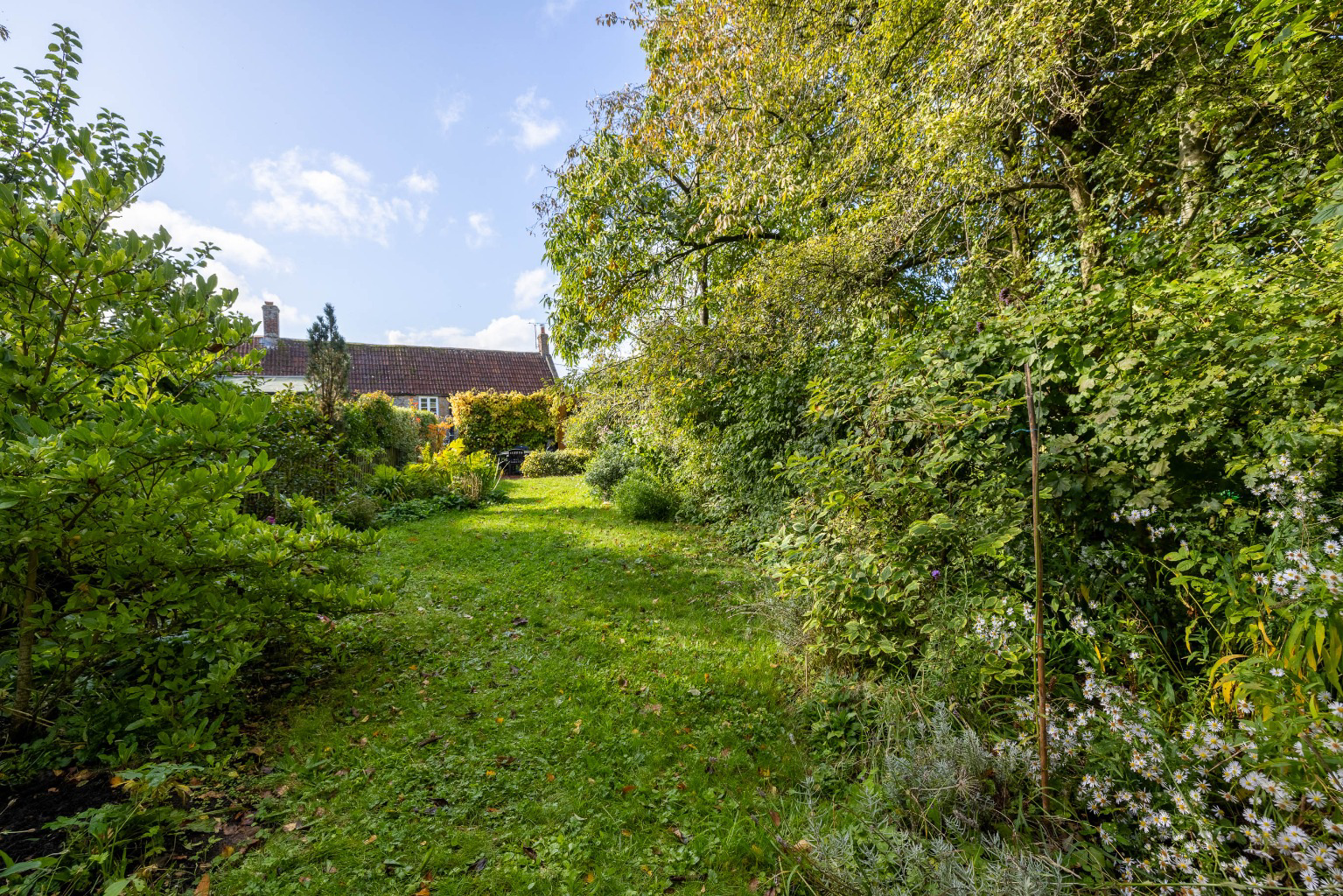 Ansford Hill, Castle Cary, Somerset, BA7, photo 19
