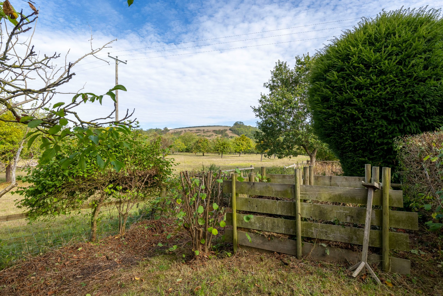 Period cottage in popular village of North Wootton, photo 31