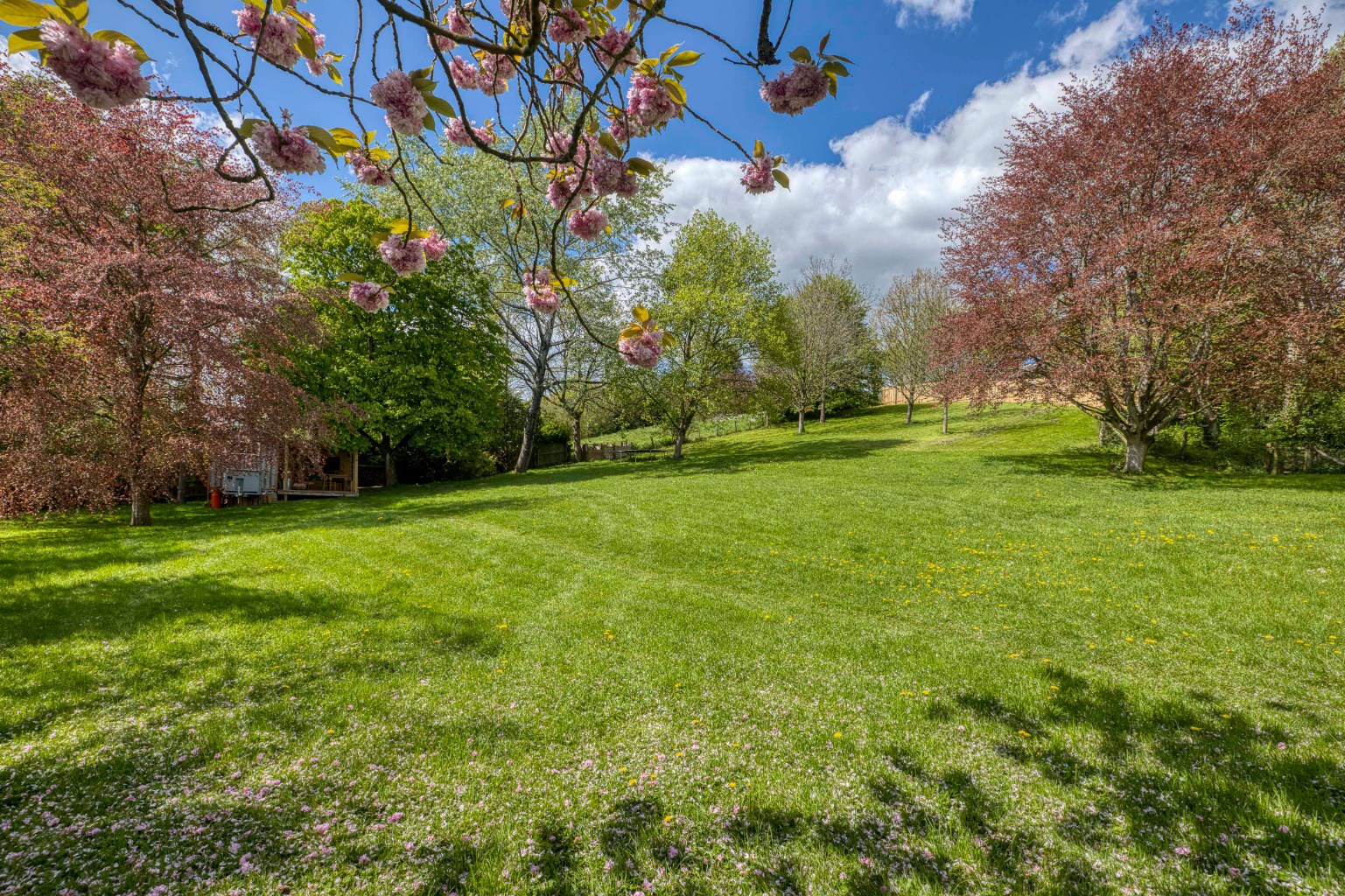 PILTON, Nr. Glastonbury, photo 43