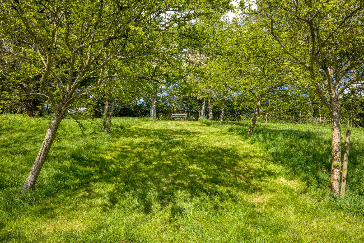 PILTON, Nr. Glastonbury, photo 40