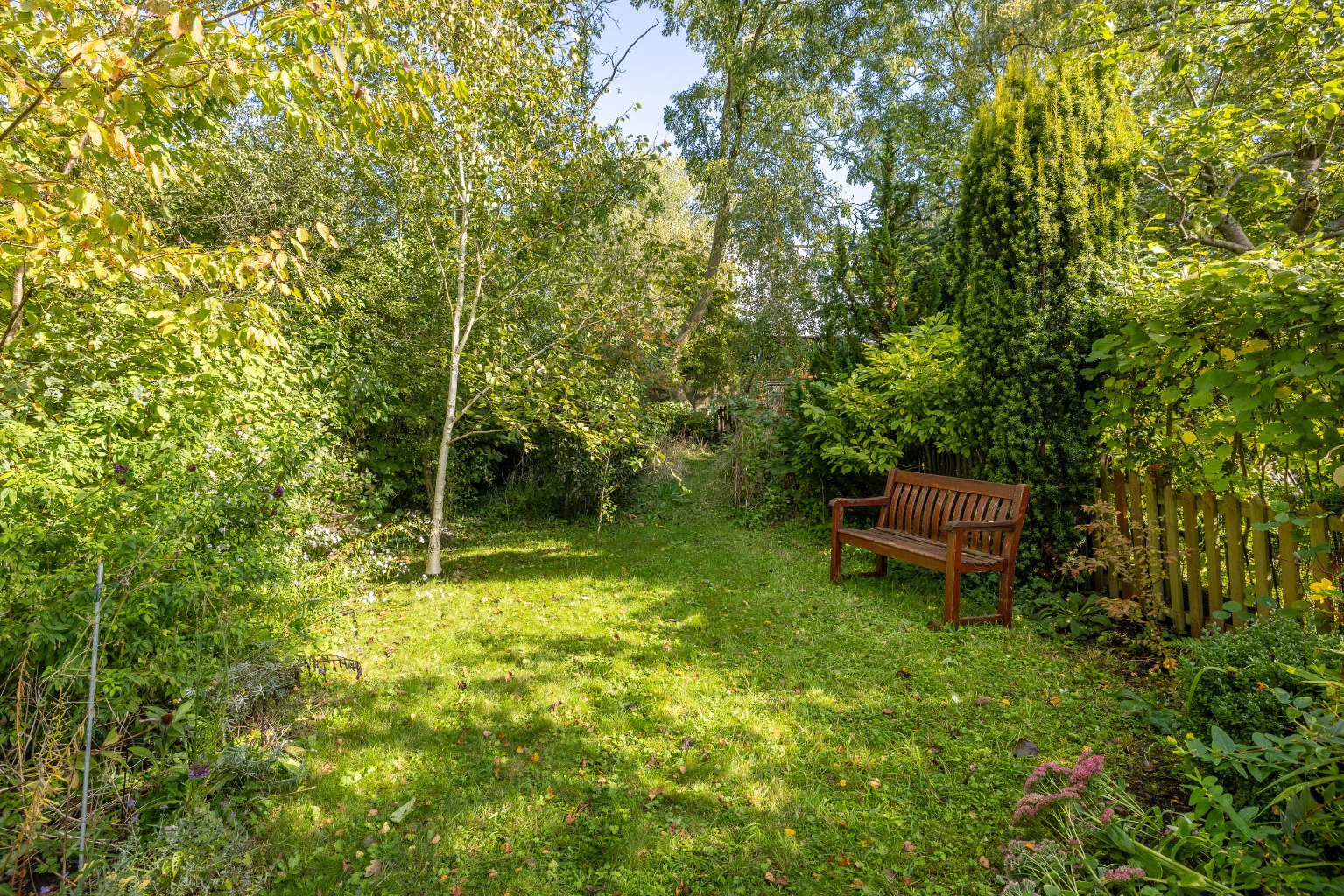 Ansford Hill, Castle Cary, Somerset, BA7, photo 21