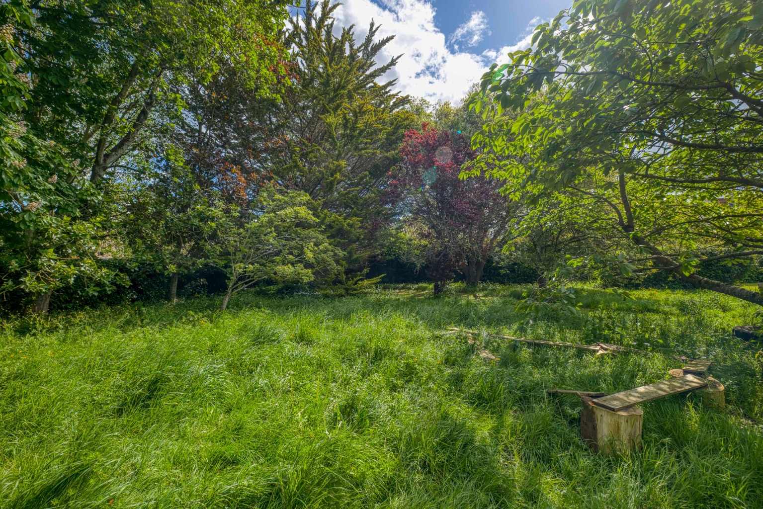 Impressive family home - between Wells and Wedmore, photo 36