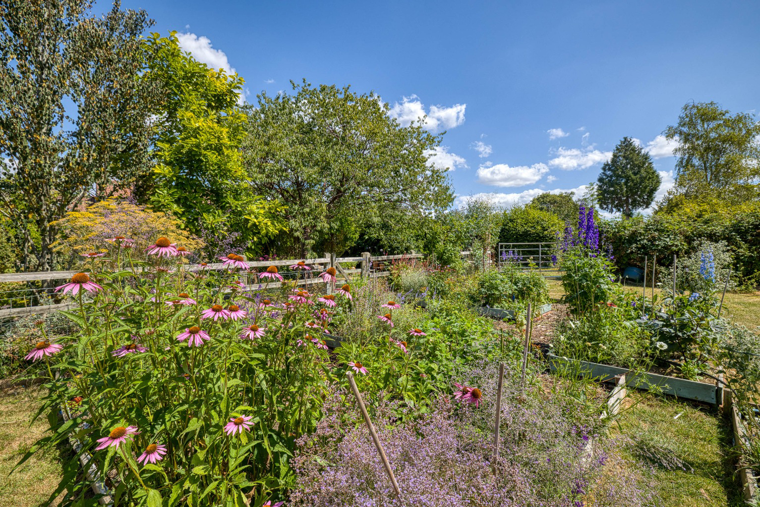 A hidden gem - period barn conversion with secluded gardens and orchard, photo 23