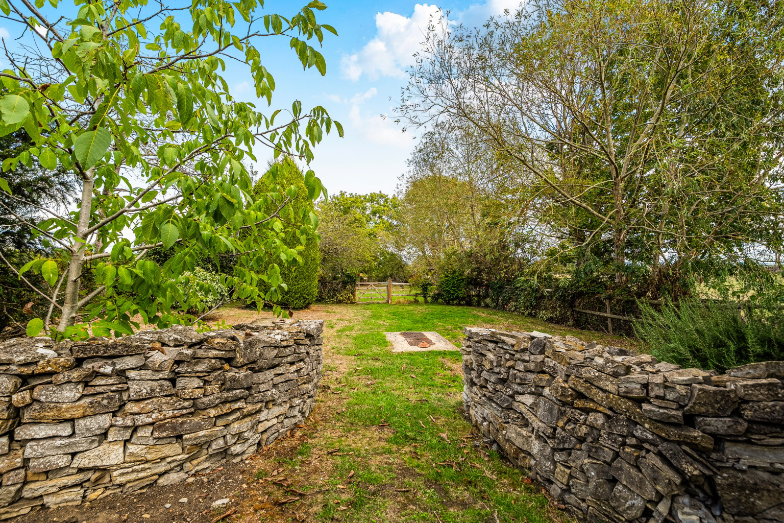 Wiltown, Curry Rivel, photo 32