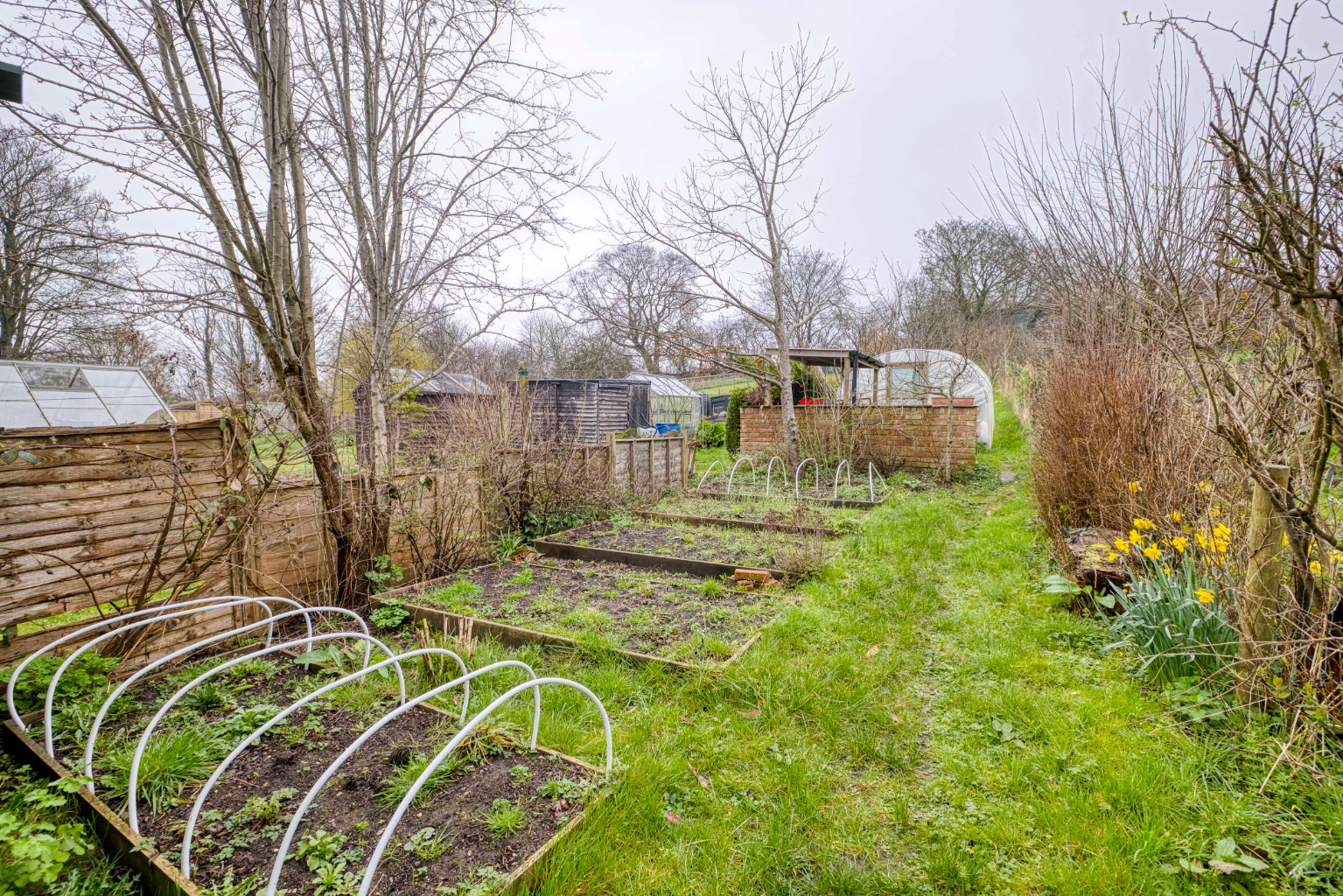 South Bank, Castle Cary, photo 17