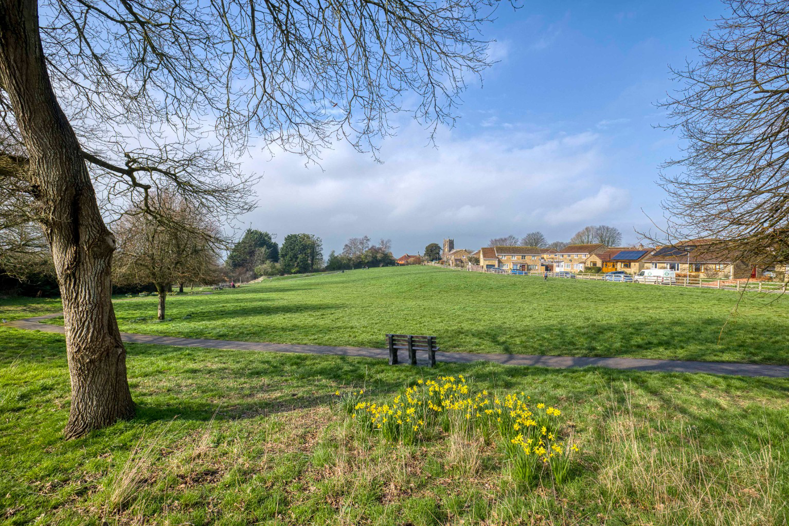 Churchfield Drive, Castle Cary, photo 27