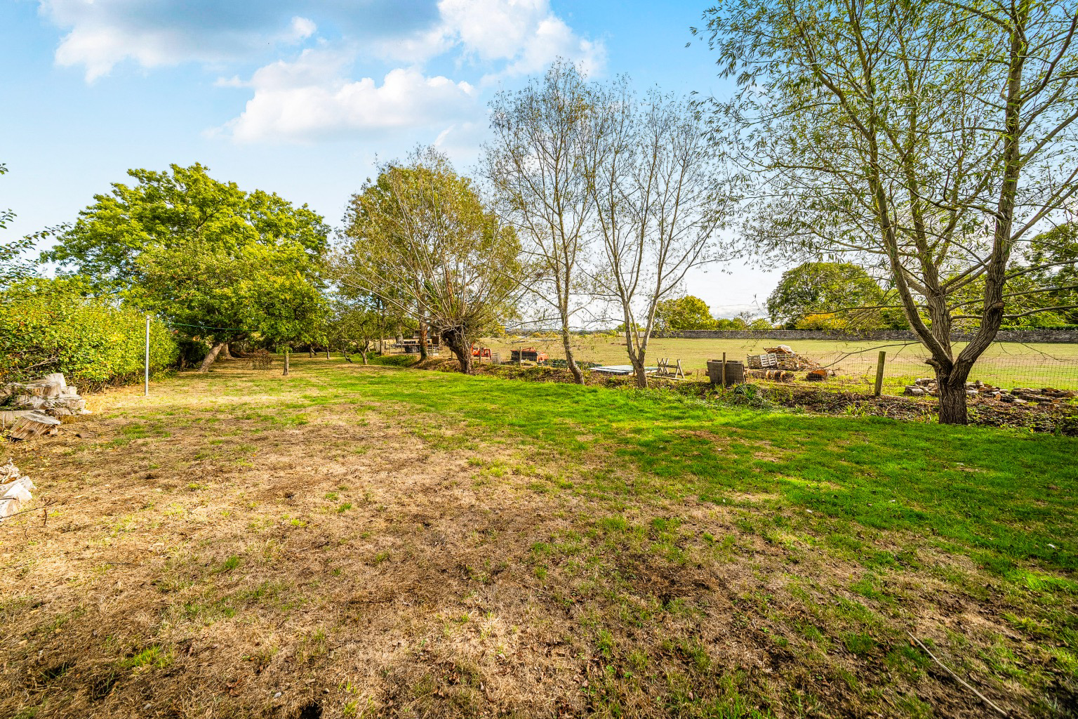 Wiltown, Curry Rivel, photo 34