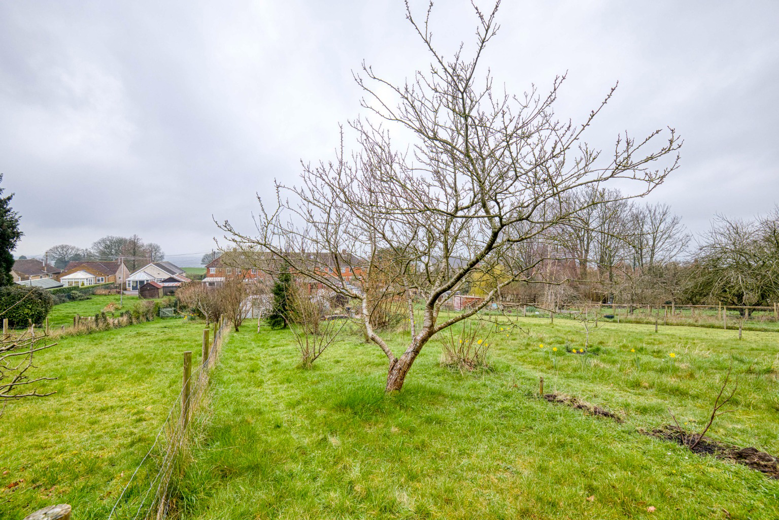 South Bank, Castle Cary, photo 20