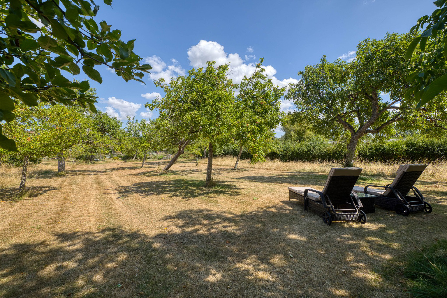 A hidden gem - period barn conversion with secluded gardens and orchard, photo 27
