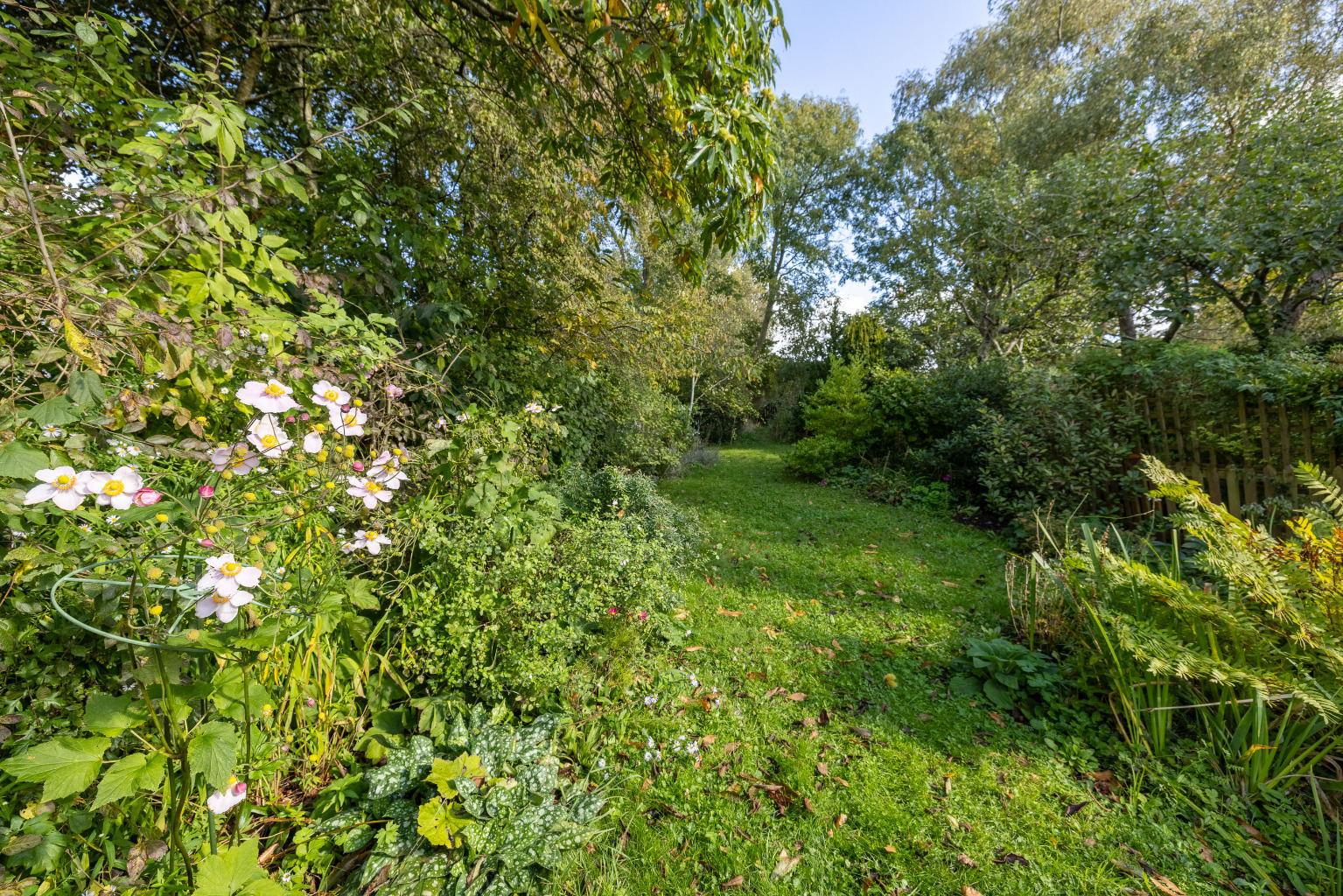 Ansford Hill, Castle Cary, Somerset, BA7, photo 15