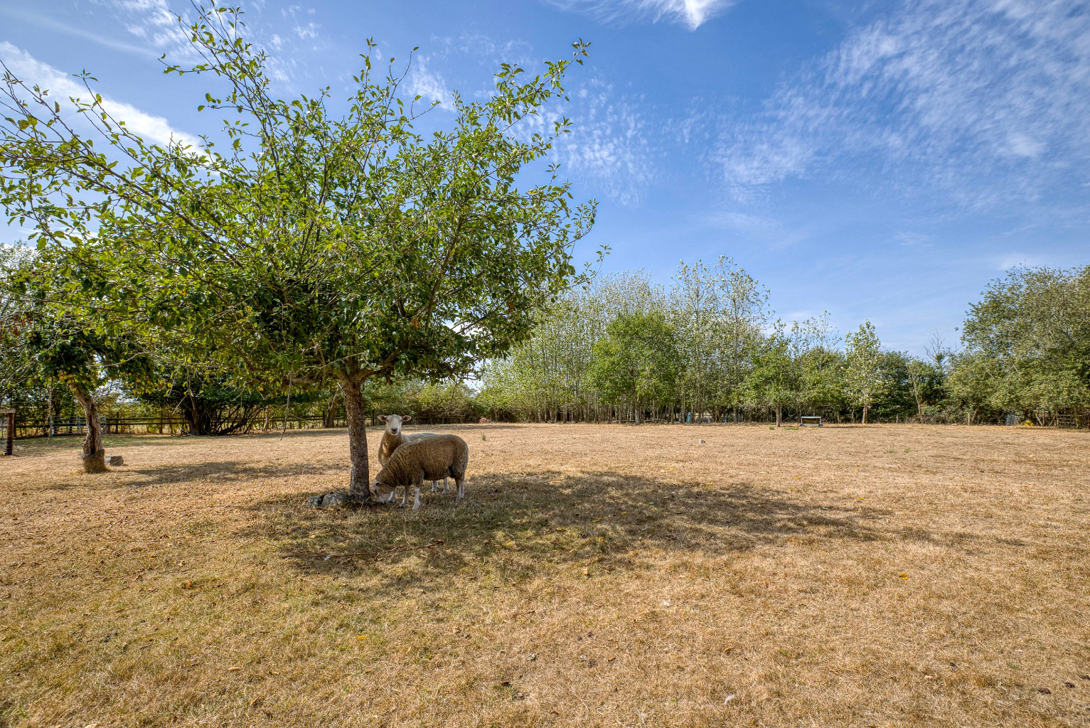Lovington, Somerset, photo 31