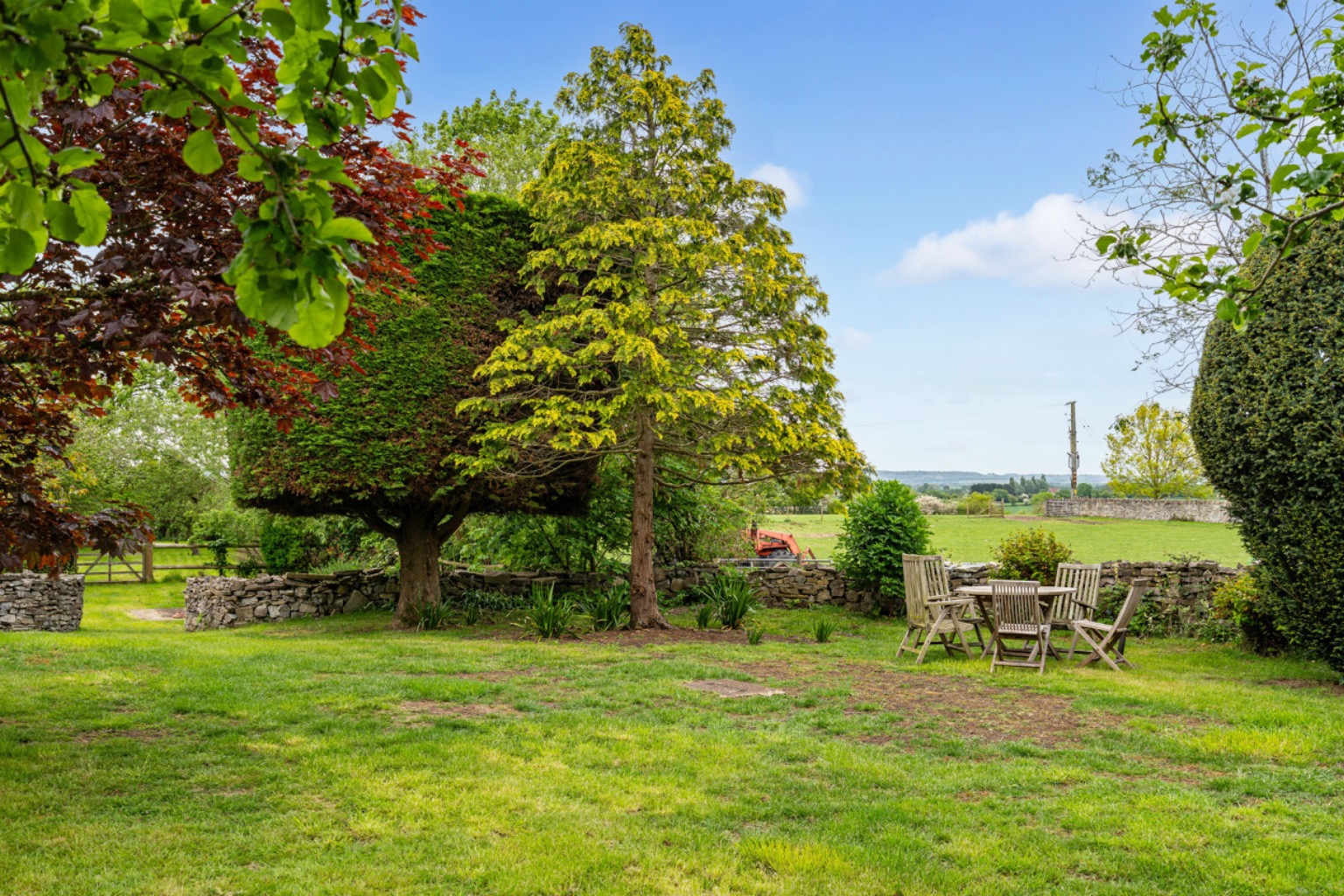 Wiltown, Curry Rivel, photo 30