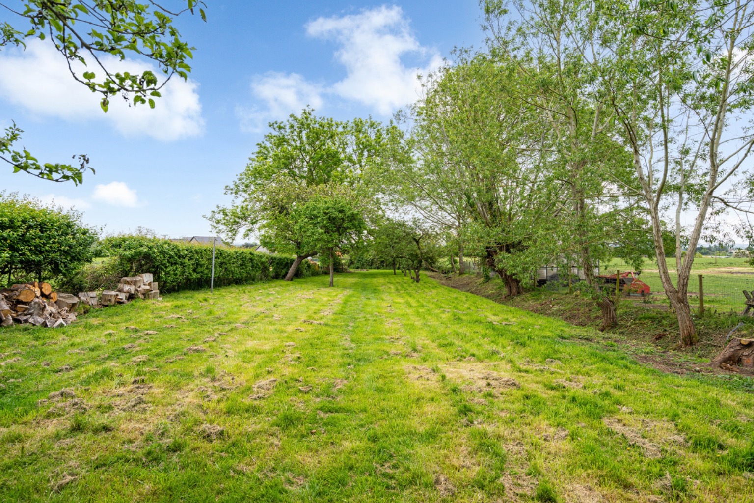 Wiltown, Curry Rivel, photo 33