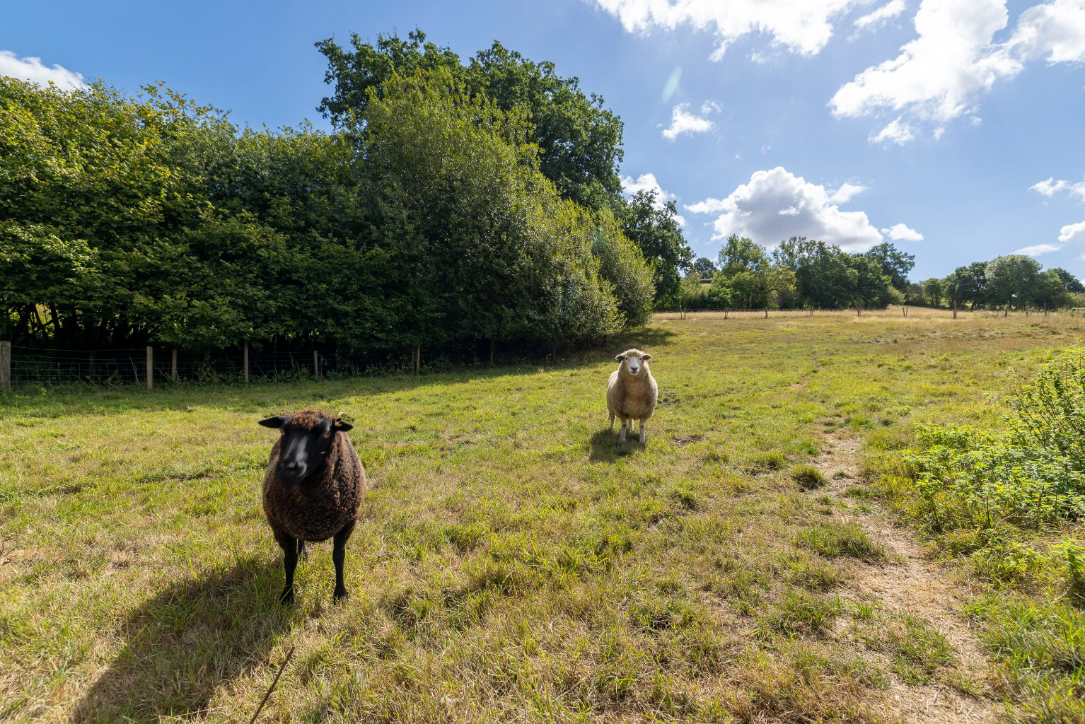 Lamyatt, near Bruton and Castle Cary, photo 33