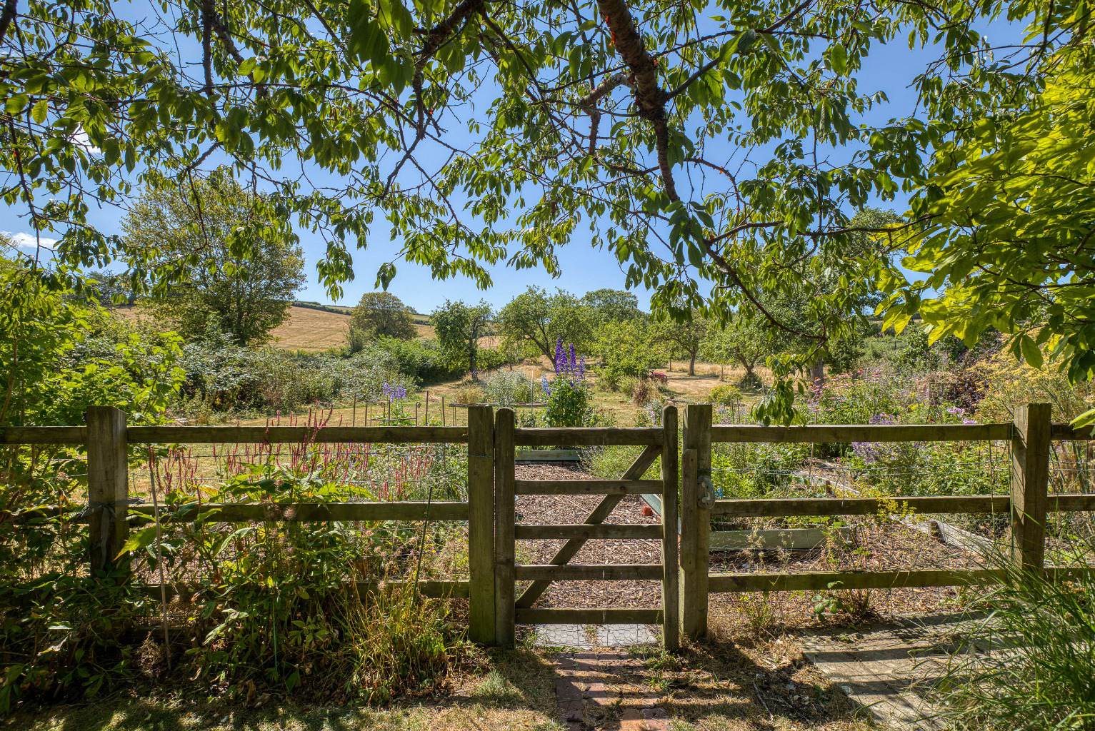 A hidden gem - period barn conversion with secluded gardens and orchard, photo 2