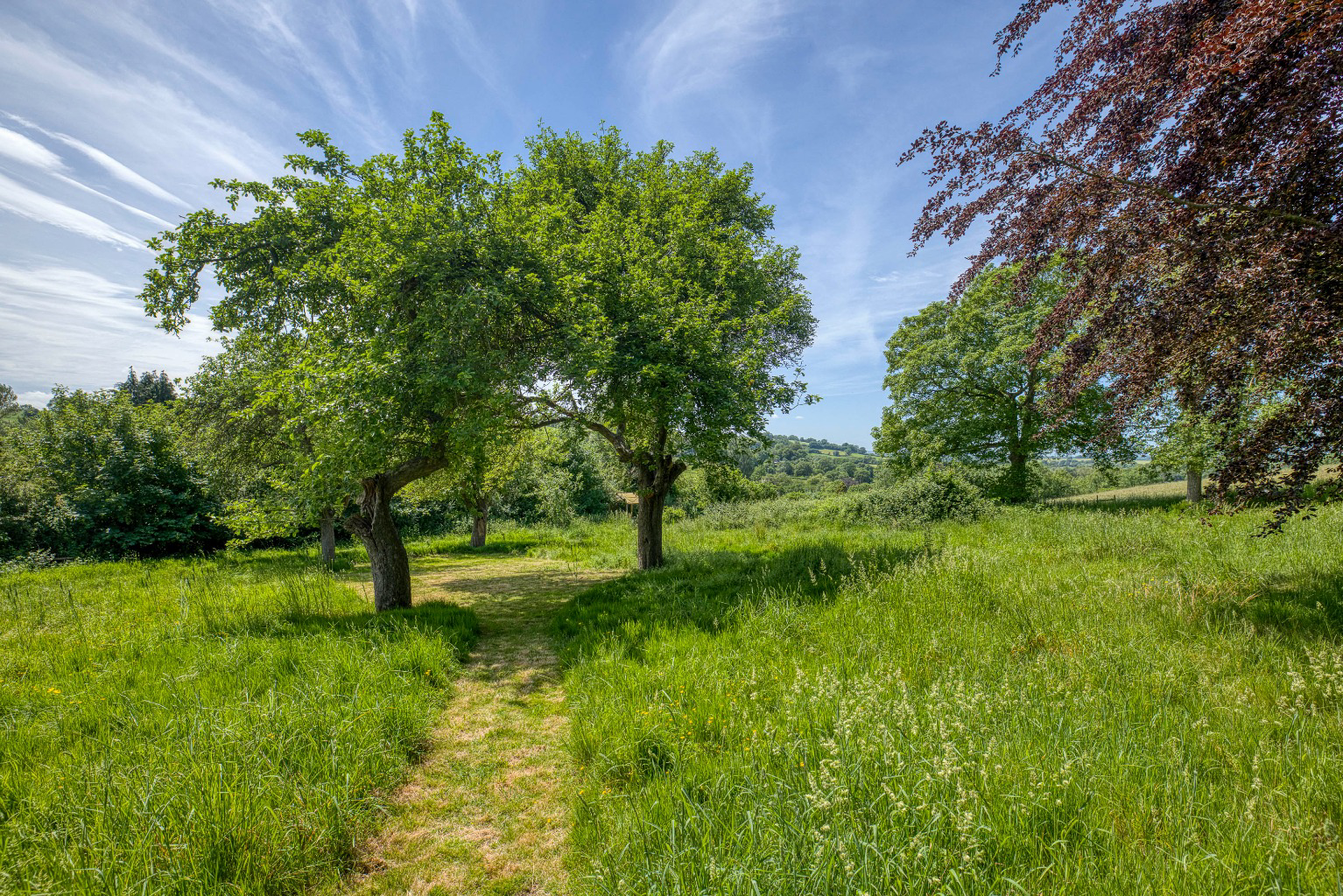 Sunny Hill, Bruton, photo 15