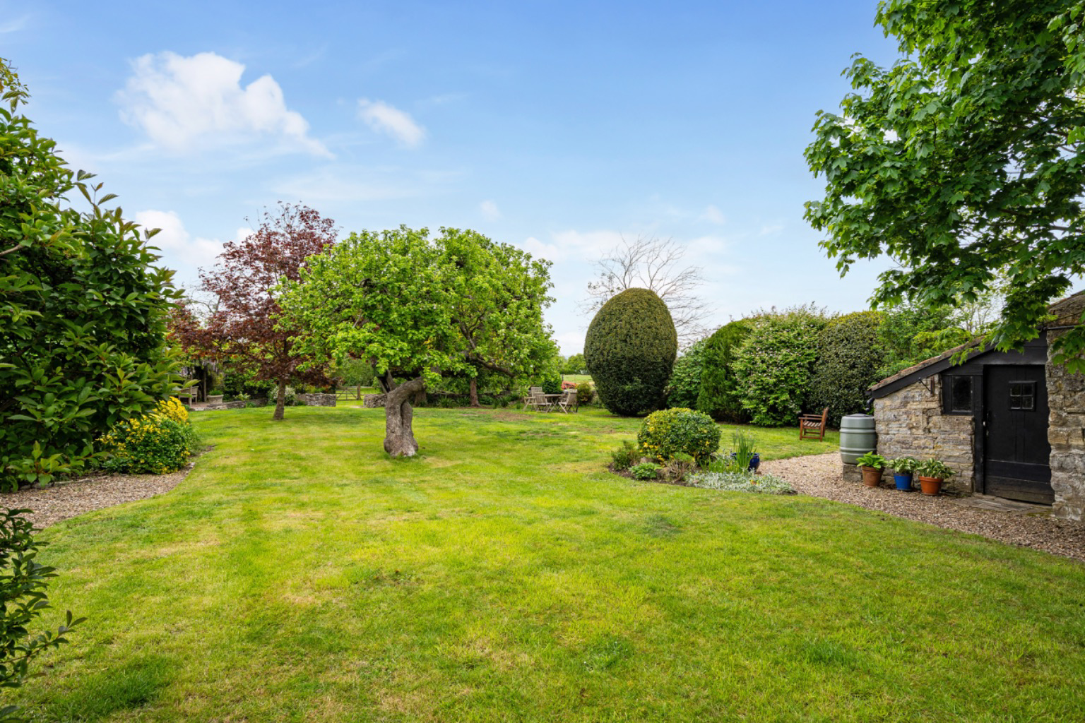 Wiltown, Curry Rivel, photo 25
