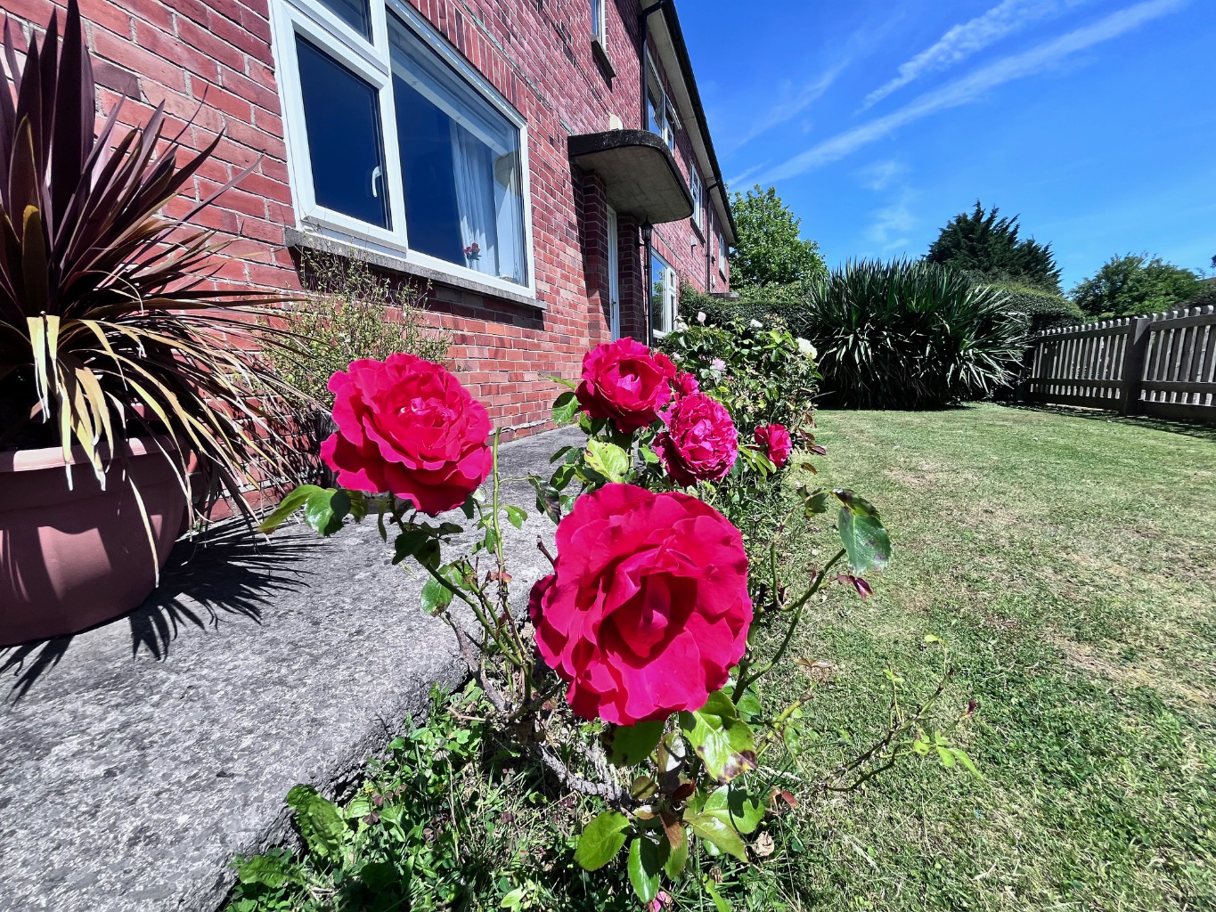 Tor View Avenue, Glastonbury, photo 23