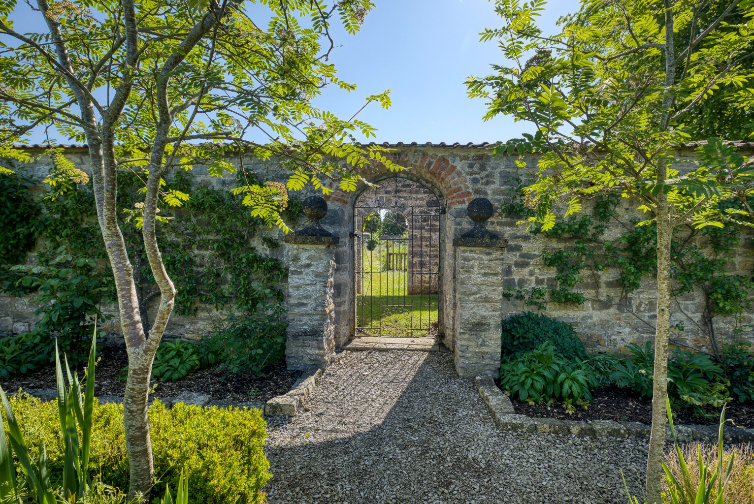 Media image 31