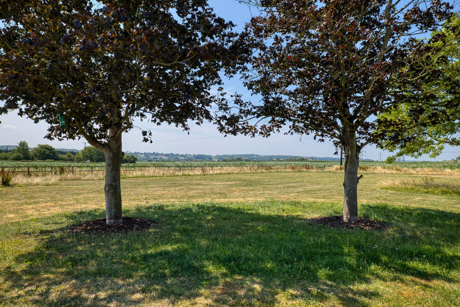 Pylle, Nr. Castle Cary, photo 30