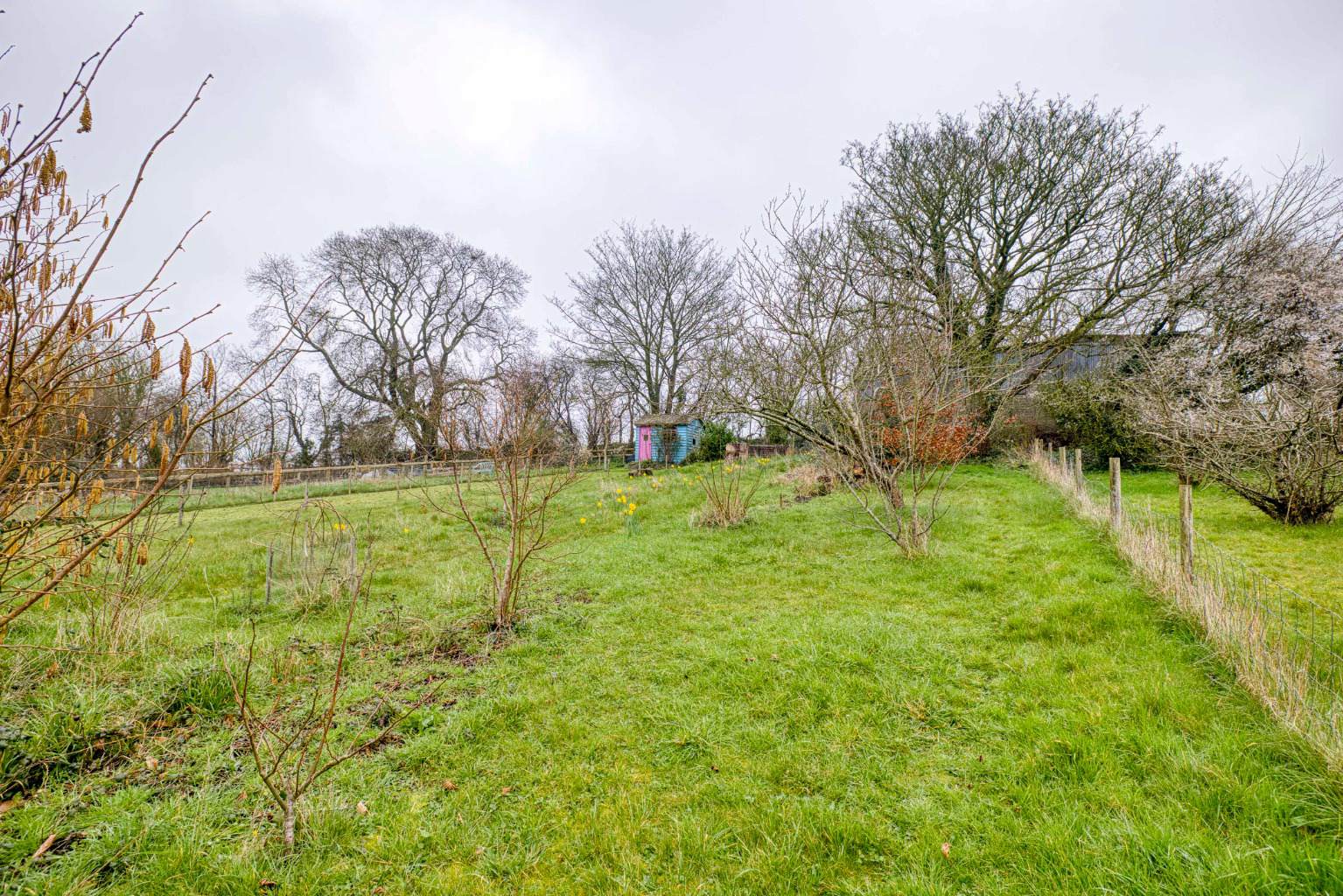 South Bank, Castle Cary, photo 19
