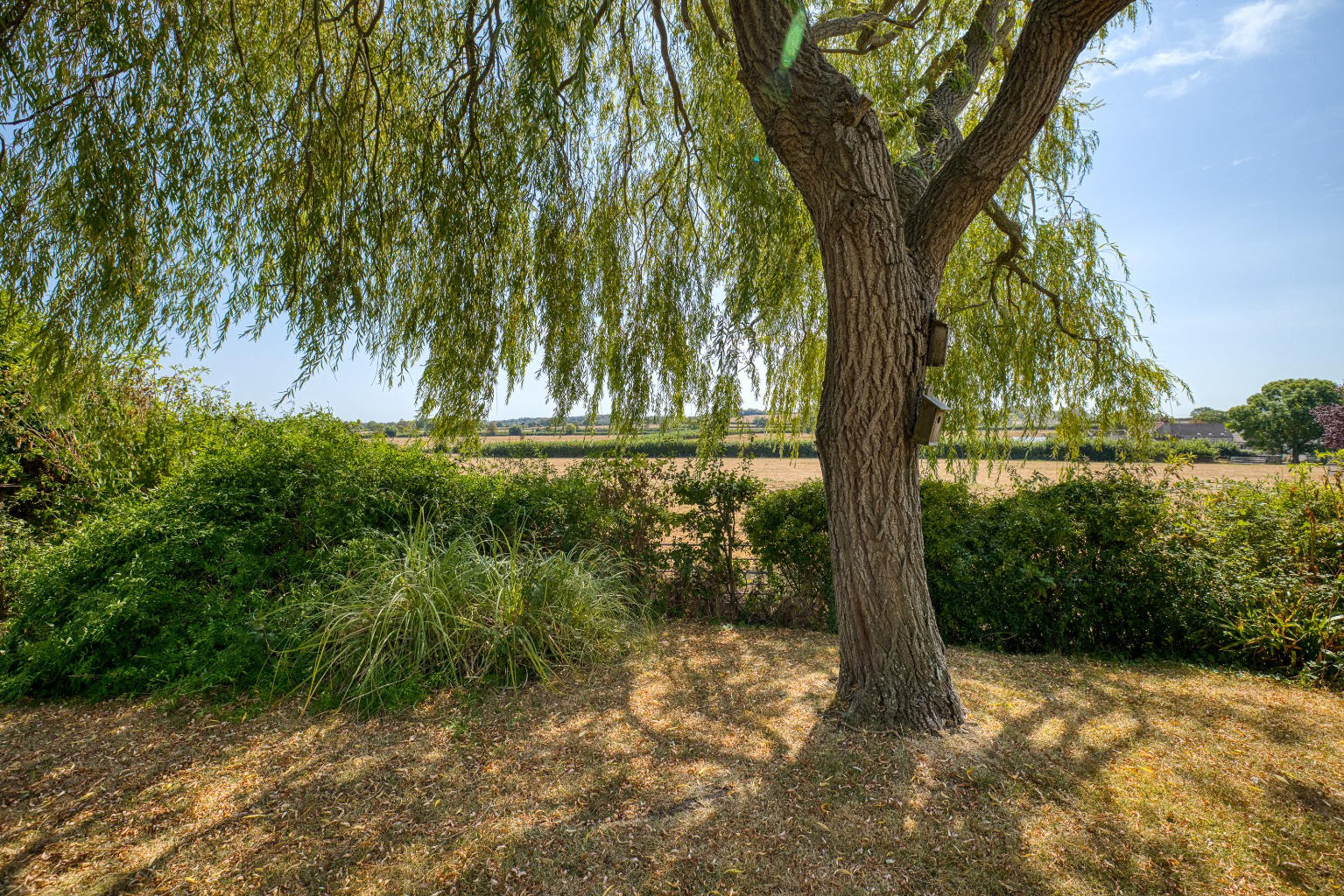 Edge of village location, Walton, Nr Street, photo 23