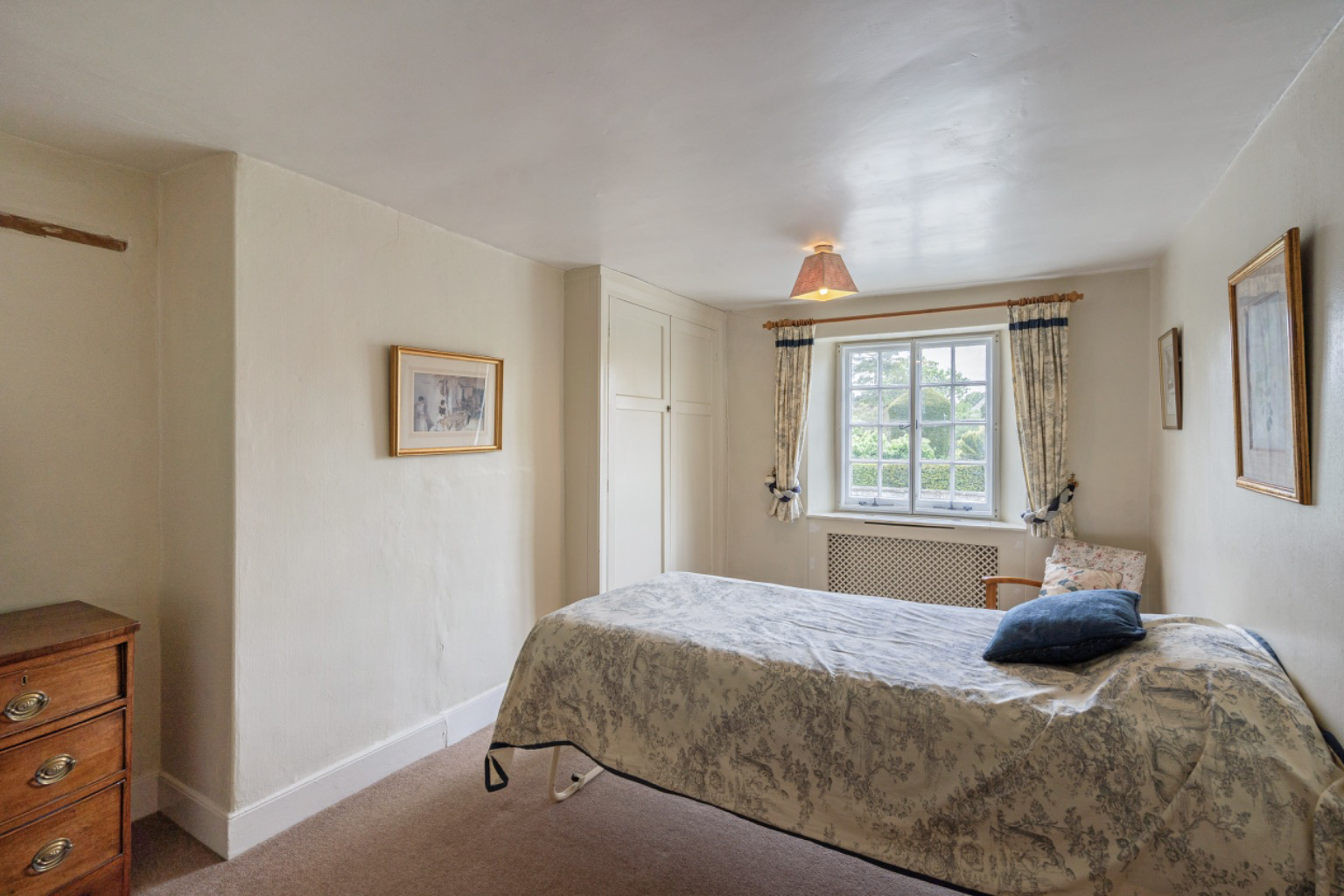 Wiltown, Curry Rivel, photo 17