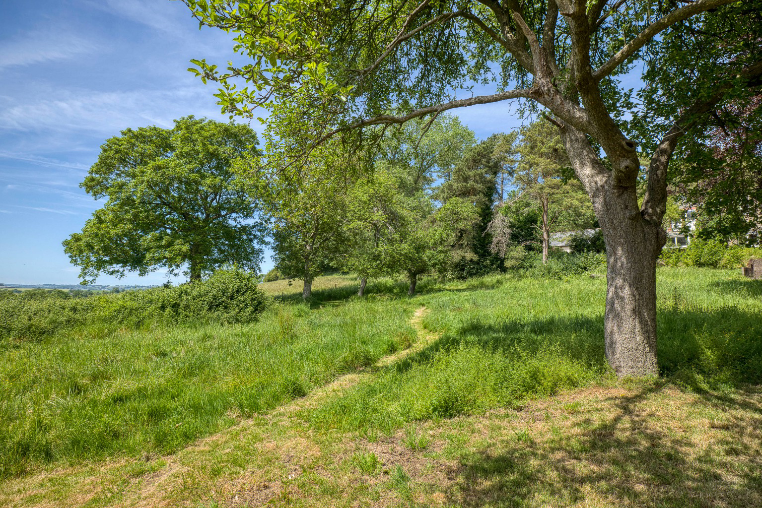Sunny Hill, Bruton, photo 17
