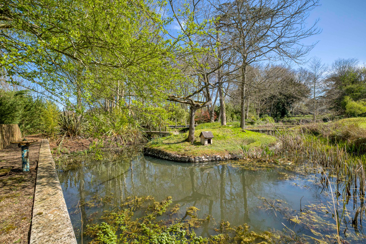Media image 40