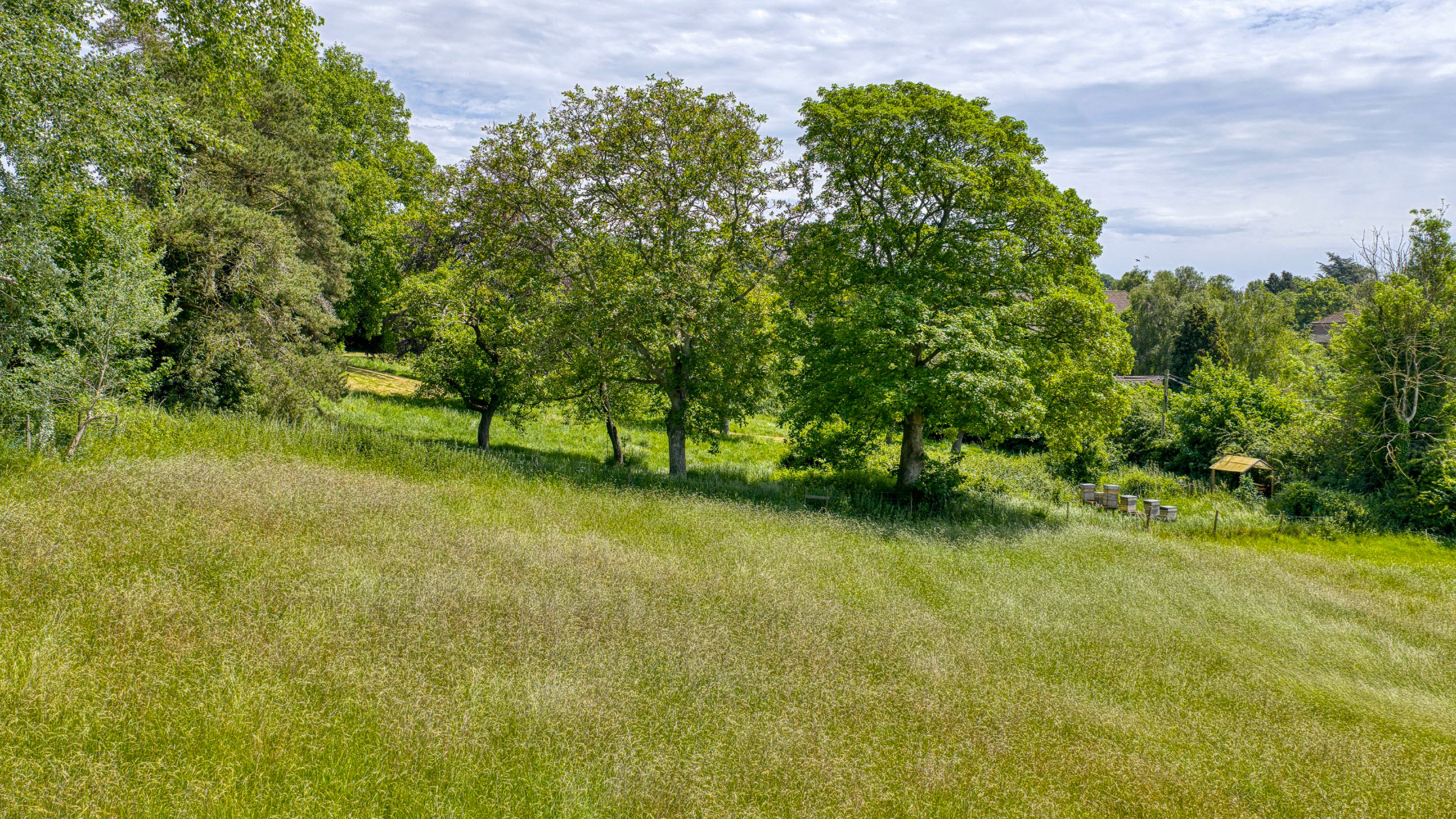 Sunny Hill, Bruton, photo 27