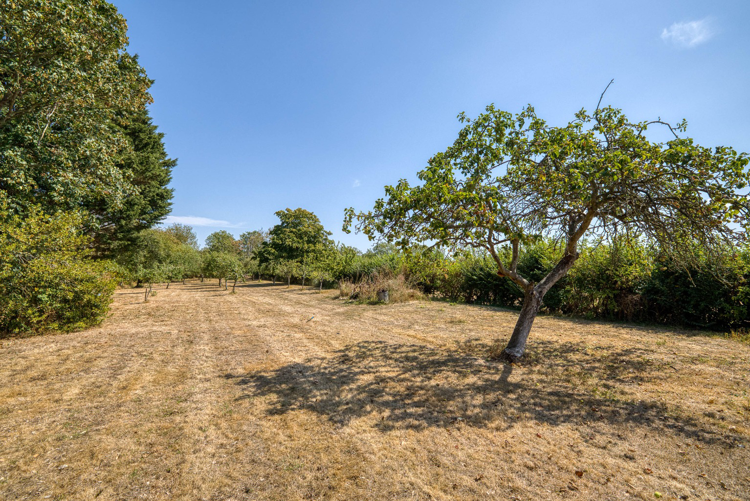 Edge of village location, Walton, Nr Street, photo 3