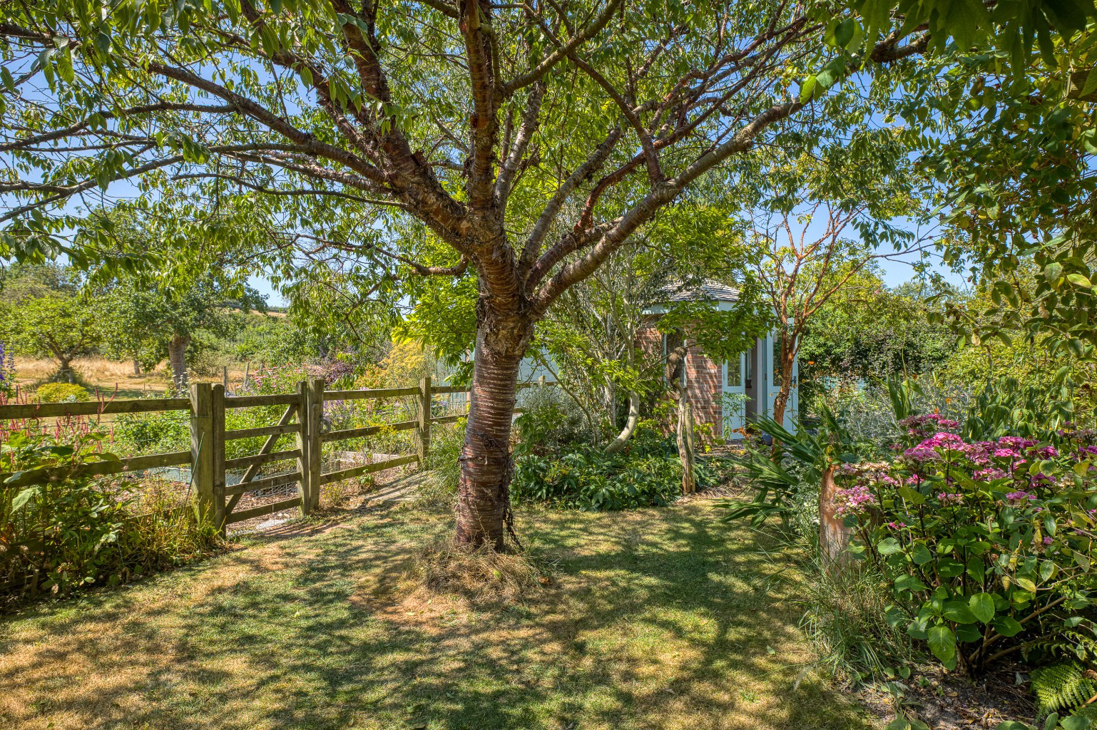 A hidden gem - period barn conversion with secluded gardens and orchard, photo 21