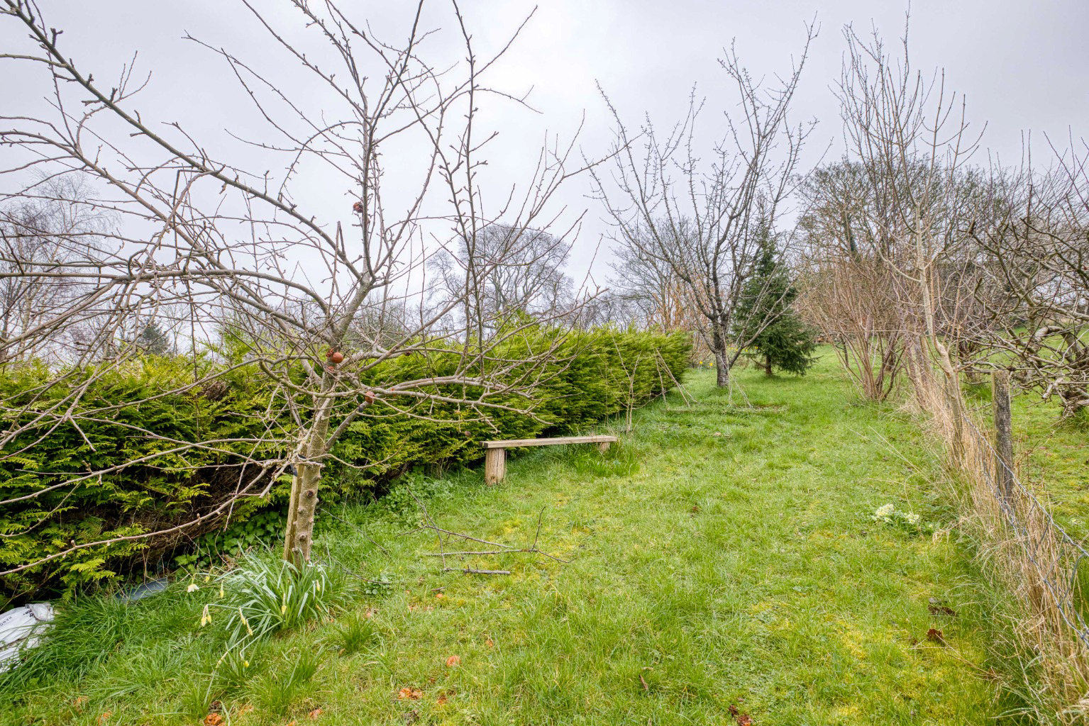 South Bank, Castle Cary, photo 18