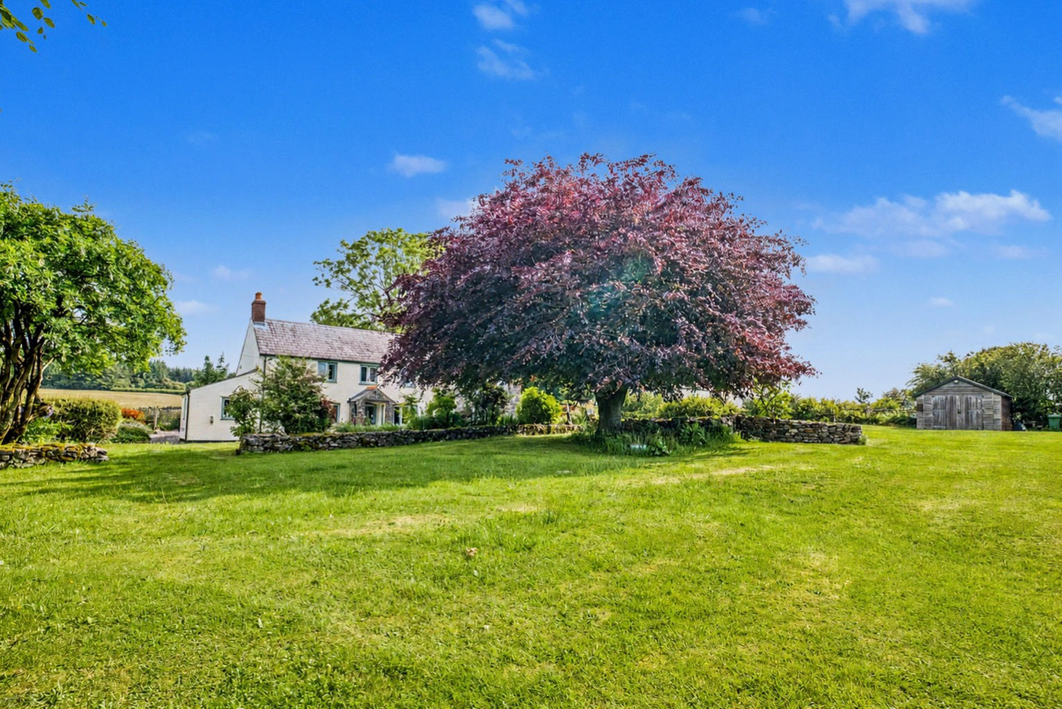 Rural location Nr. Priddy, Mendip Hill AONB, photo 31