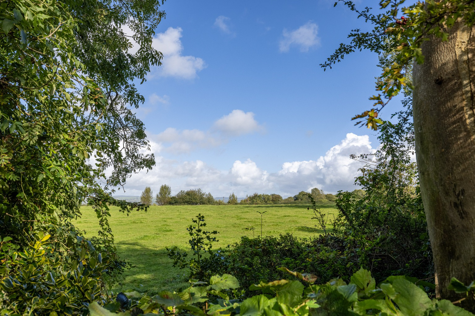 Ansford Hill, Castle Cary, Somerset, BA7, photo 22