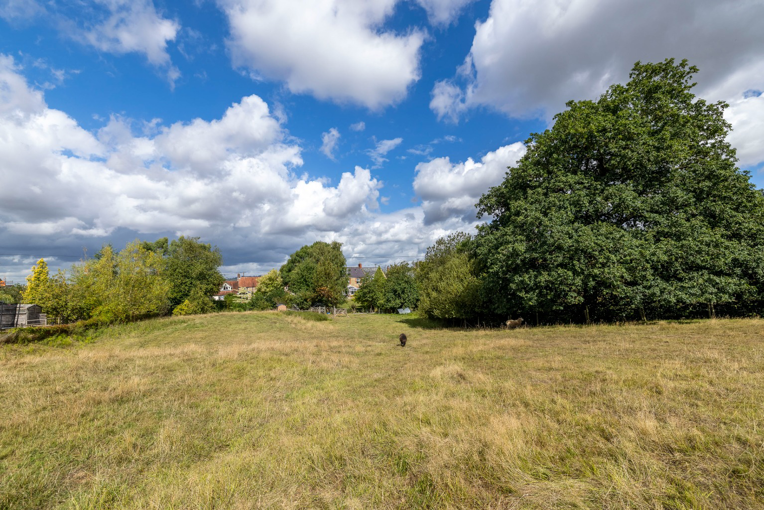 Lamyatt, near Bruton and Castle Cary, photo 34