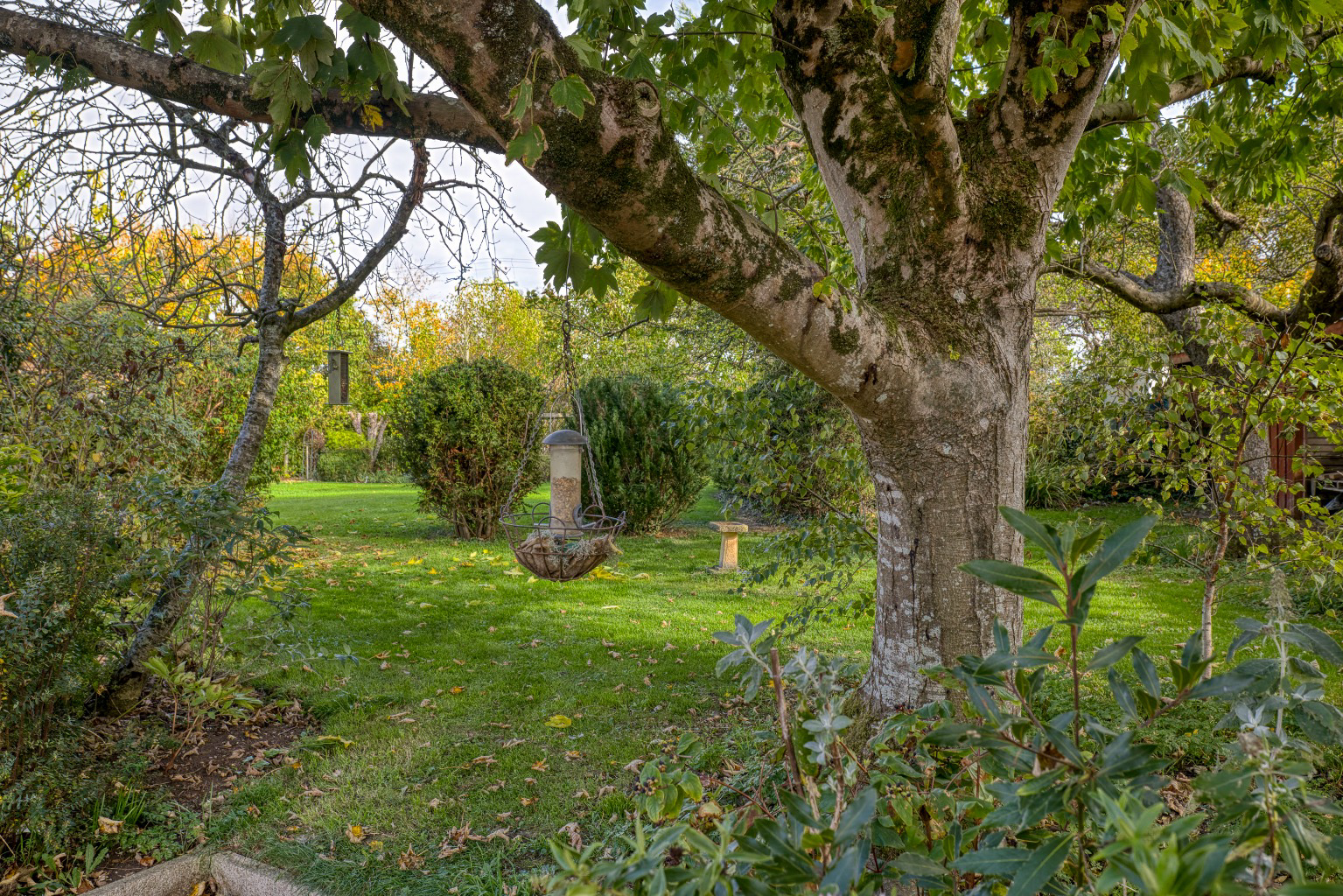 Rural setting Nr. Wookey, photo 20